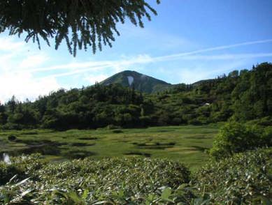 高谷池ヒュッテから火打山
